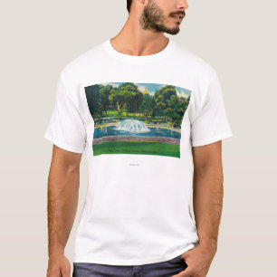 View of Boston Common Frog Pond T-Shirt