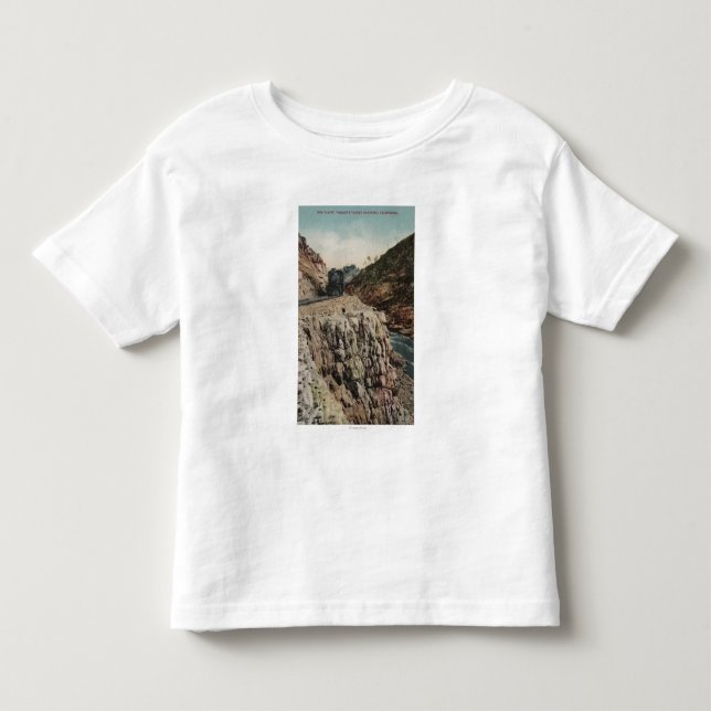 View of Box Canon Train Toddler T-Shirt (Front)