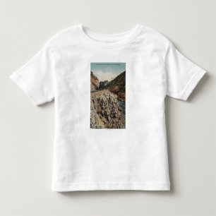 View of Box Canon Train Toddler T-Shirt