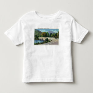 View of Bridge over the Deerfield River Toddler T-Shirt