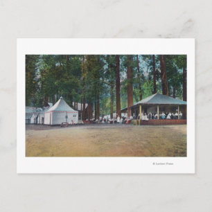 View of Camp CurryYosemite Nat'l Park, CA Postcard