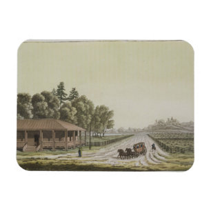 View of Capitol Hill, Washington (colour engraving Magnet