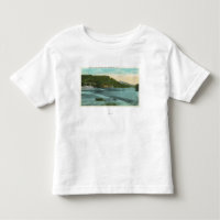 View of Chenango River and Dam