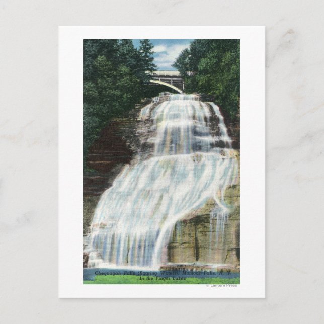 View of Chequagah Falls Postcard (Front)