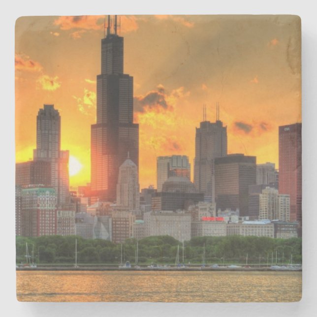 View of Chicago's skyline from  Adler Stone Coaster (Front)