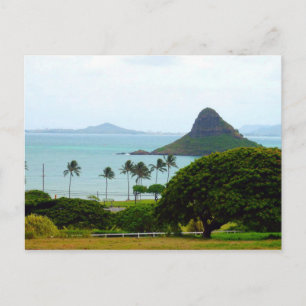 View of Chinaman's Hat Postcard