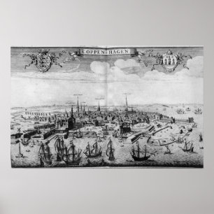 View of Copenhagen Poster