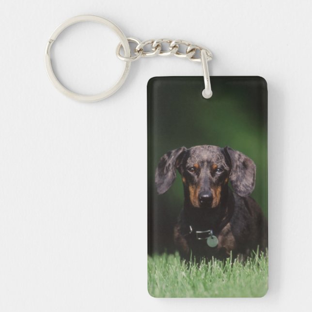 View of Dapple coloured Dachshund Key Ring (Front)