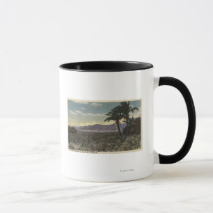 View of Dates Growing near the Salton Sea Mug