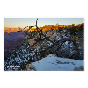 View of El Tovar hotel overlooking Grand Canyon Photo Print