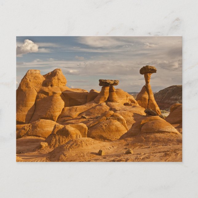 View of eroded rock toadstools postcard (Front)