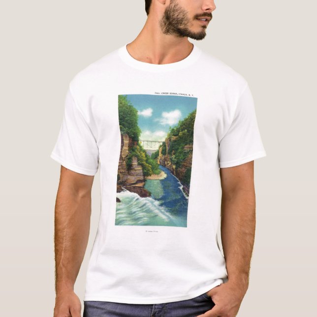View of Fall Creek Gorge T-Shirt (Front)