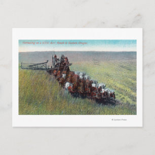 View of Farmers Harvesting with Huge Horse Postcard