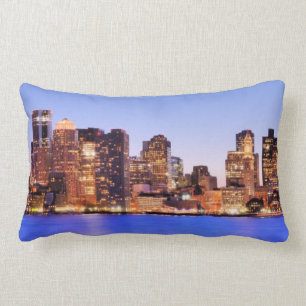 View of Financial District of downtown Boston Lumbar Cushion