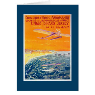 View of Float Planes in Air and Water Poster