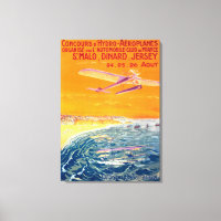 View of Float Planes in Air and Water Poster