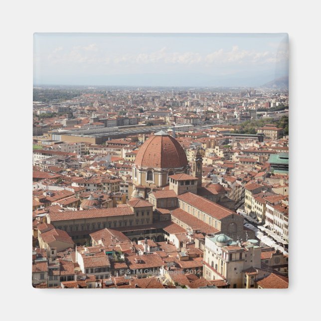 View of Florence, Italy from the top of the Magnet (Front)