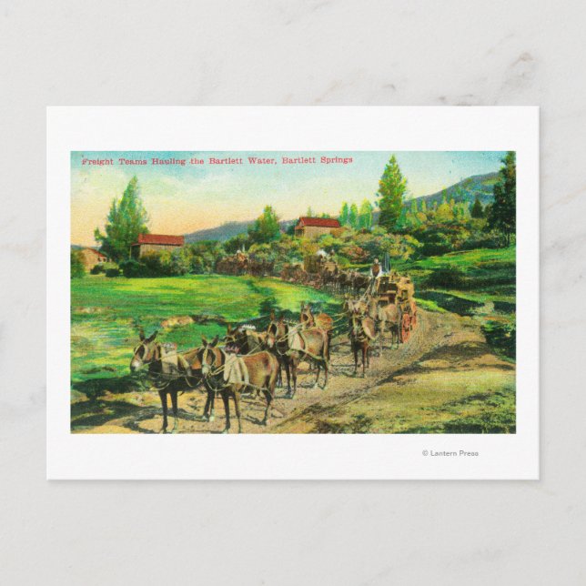 View of Freight Teams Hauling Bartlett Water Postcard (Front)