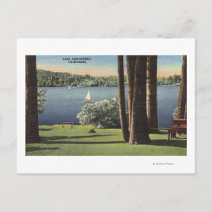 View of Grassy Shore & Lake Postcard