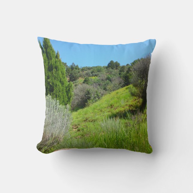 View of Green Pillow (Front)