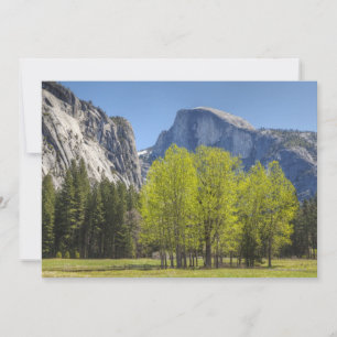 View of Half Dome