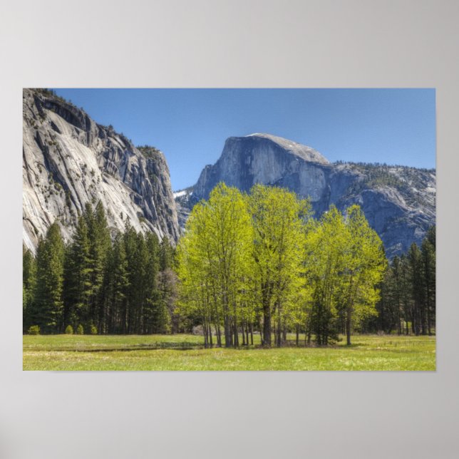 View of Half Dome Poster (Front)