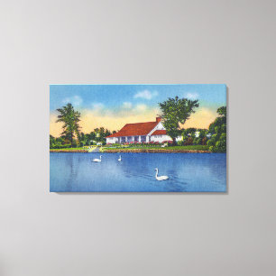 View of Hoopes Park Swans on the Lake Canvas Print