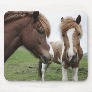 View of Horse, close-up Mouse Pad