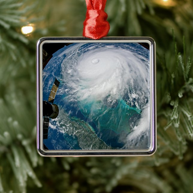 View Of Hurricane Dorian. Metal Tree Decoration (Tree)