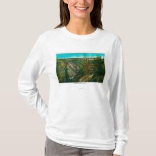 View of Hurricane Gulch Bridge, Alaska T-Shirt