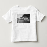 View of Ketchikan, Alaska Waterfront Photograph