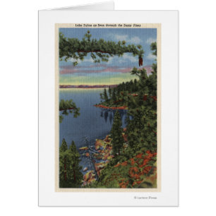 View of Lake through Sugar Pines