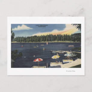View of Lake, Tree-Lined Shore Postcard