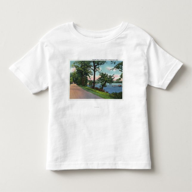 View of Lakeside Drive along Chautauqua Lake Toddler T-Shirt (Front)