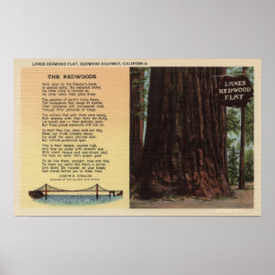 View of Lanes Redwood Flat Poster