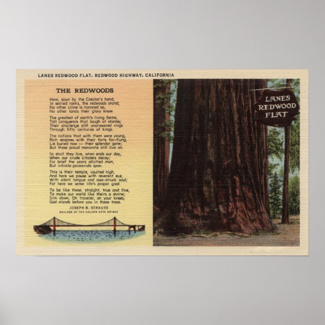 View of Lanes Redwood Flat Poster (Front)