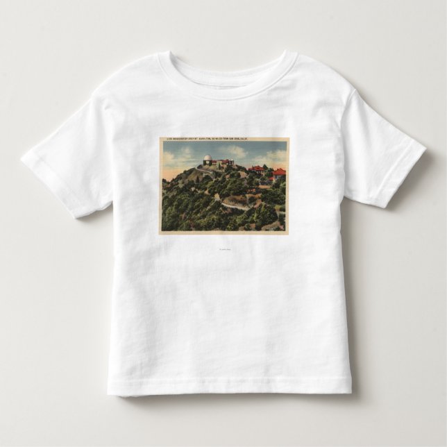 View of Lick Observatory on Mt. Hamilton Toddler T-Shirt (Front)