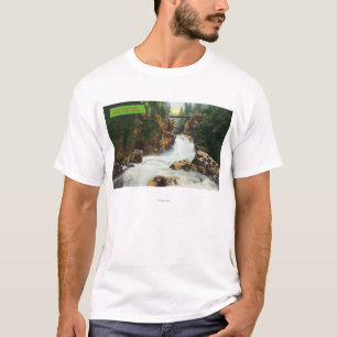 View of Lynn Canyon Falls T-Shirt