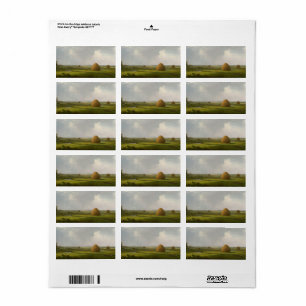 View of Marshfield, 1876 by Martin Johnson Heade Label