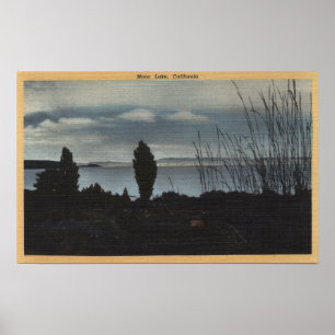 View of Mono Lake Poster