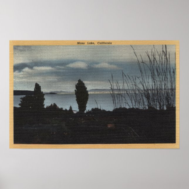 View of Mono Lake Poster (Front)