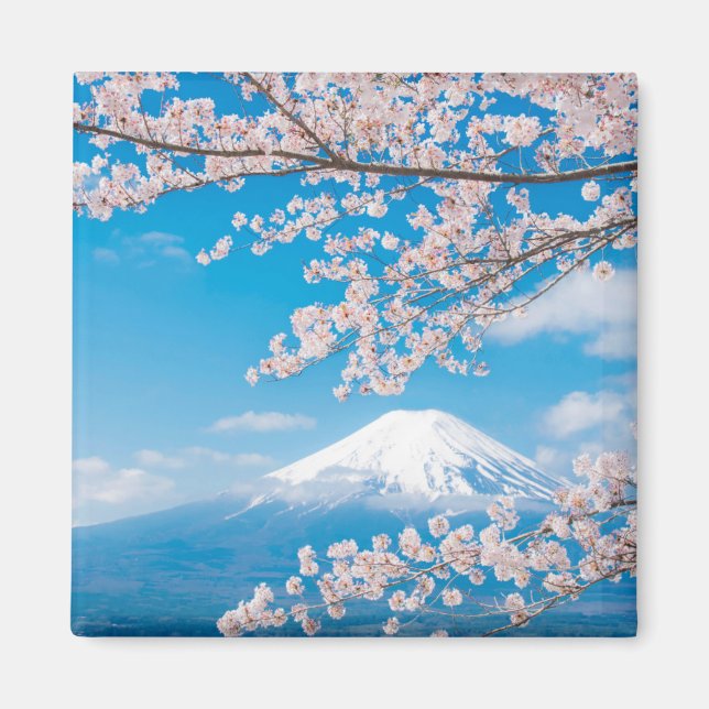 View of Mount Fuji with Cherry Blossoms Magnet (Front)