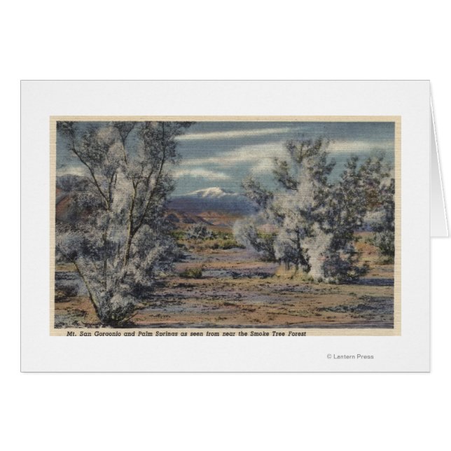 View of Mt. San Gorgonio & Palm Springs (Front Horizontal)
