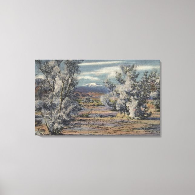 View of Mt. San Gorgonio & Palm Springs Canvas Print (Front)