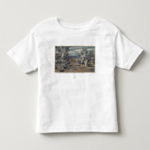View of Mt. San Gorgonio & Palm Springs Toddler T-Shirt