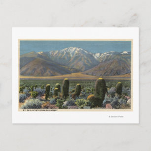 View of Mt. San Jacinto Near Palm Springs Postcard