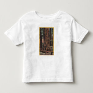 View of "Neck Breaker" at Big Trees Park Toddler T-Shirt