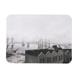 View of New Orleans taken from the Lower Cotton Pr Magnet