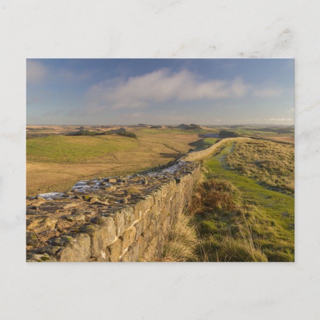 View of Norhumberland from Hadrian's Wall Postcard (Front)