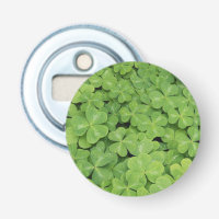 View of Oxalis Oregana wood Sorrel Foliage